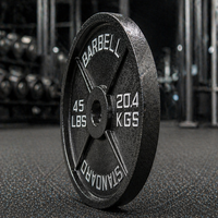 Disques de poids en fonte de 45 livres, surface peinte à effet martelé, pour musculation, fitness, haltérophilie, powerlifting, usage domestique et commercial