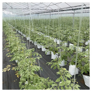 Bolsas de plántulas cuadradas de nutrientes PE blancas y negras de alta resistencia profesional para jardín para flores frutas verduras crecimiento de plantas - Product Image 6