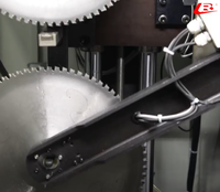 Machine de meulage d'angle frontal entièrement automatique MLQ-355G (bras robotisé)