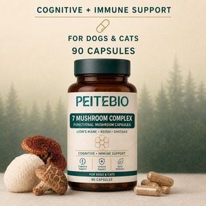 PEITEBIO Complexe <span class=keywords><strong>de</strong></span> 7 Champignons en Capsules pour Chiens et Chats <span class=keywords><strong>avec</strong></span> Crinière <span class=keywords><strong>de</strong></span> <span class=keywords><strong>Lion</strong></span>, Reishi et Shiitake – Soutien Cognitif et Immunitaire – 90 Capsules - Product Image 6