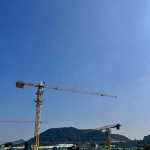 Grue à tour de projet de transport professionnel avec certificat CE - Product Image 6