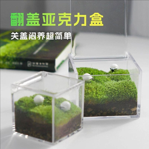 Moss Micro-Landscape Indoor Desktop Potted Plants Fresh <b>Small</b> Green Plant Ornaments Office Gifts Mini Moss Eco-Bottle - Product Image 3