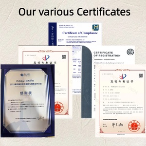 Plester Herbal Cina Transdermal Efektif untuk Meredakan Nyeri Reumatoid <span class=keywords><strong>Arthritis</strong></span> dan Sciatica yang Tahan Lama - Product Image 5