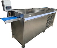 Machine de fusion, de tempérage et d'enrobage de chocolat YUCHO 8kg/15kg/30kg/60kg avec tunnel de refroidissement