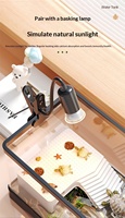 Aquarium transparent en plastique pour tortues avec plateforme de basking et couvercle, idéal pour bureau et salon – Boîte d'élevage et de reproduction pour poissons