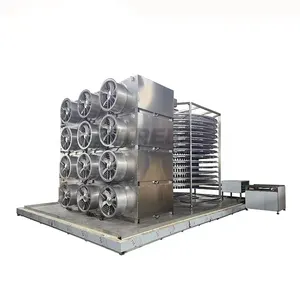 Strawberry Pear Pineapple IQF Spiral Freezer Quick Freezing Machine for Fruit Processing Plant