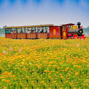 Train monorail touristique en acier allié pour attraction de parc à thème pour enfants - Product Image 2