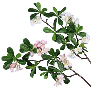 Rama de Flores Artificiales Meng Jie Pittosporum Tobira, Flores de Seda Blancas y Rosas para Decoración del Hogar y Bodas - Product Image 5