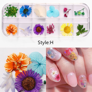 Popolare 12 colori di Arte Del Chiodo 3D Fiore Secco Naturale Premuto Secchi <span class=keywords><strong>Fiori</strong></span> di Pizzo Della Decorazione di Bellezza Nail <span class=keywords><strong>Sticker</strong></span> per UV LED gel - Product Image 5