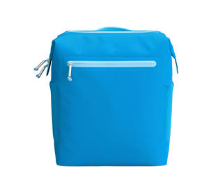 Sacs isothermes souples en polyester de 24 L, design à double isolation, imperméables, portables, pour vin, bière, déjeuner, pique-nique - Product Image 2