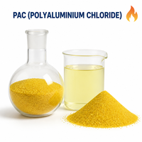 Coagulant au chlorure de polyaluminium pour le traitement des eaux usées de galvanisation