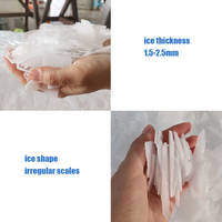 Grande capacité 2T 5T et machine à glace avec précision en flocons de glace sèche à vendre