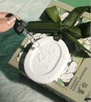 Longue durée bricolage aromathérapie gypse pierre parfumée pierre aromatique pour Sachet huile infusé voiture pendentif garde-robe feuille suspendue