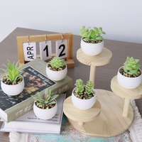 6 plantes succulentes artificielles avec pots, petites plantes artificielles en pot pour la décoration de la maison, du bureau, de la table