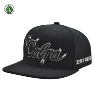 Casquette de plage et streetwear performante à 6 panneaux en sergé de coton de haute qualité, avec logo brodé 3D personnalisé OEM/ODM