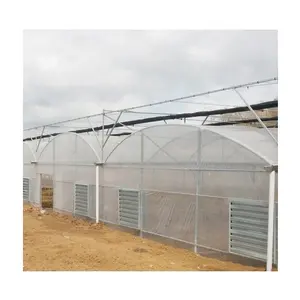 Commercial Multi Span Vegetable Tunnel Agricultural Film Greenhouse