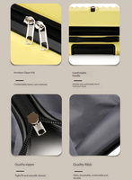 Valise cabine 20 pouces en PP, valise à fermeture éclair de haute qualité avec serrure à combinaison, valise à roulettes universelles pour les voyages