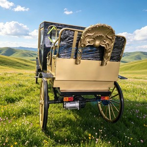Chariot Royal Électrique Noir Populaire de Qualité Supérieure pour le Tourisme – Voiturette Électrique Rétro pour Visites Touristiques - Product Image 1