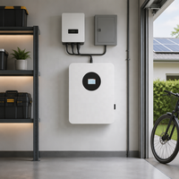 Batterie murale LiFePO4 Tianon 51,2 V 100 Ah 5,12 kWh pour stockage d'énergie solaire domestique