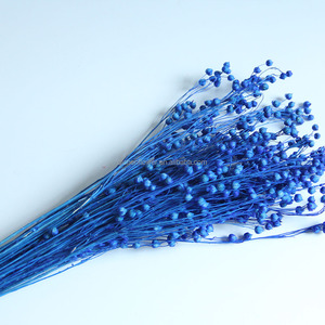 Frijol de Acacia Seco Teñido QC, Ecológico, Duradero, Hecho a Mano, Suministros para Floristería, Origen Yunnan, China, Decoración para Bodas - Product Image 2