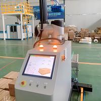 Robot de Paletización Colaborativo para Alimentos y Bebidas, Productos Químicos y Almacenamiento de Comercio Electrónico, Cajas, Botellas y Cartones de 15 kg a 50 kg