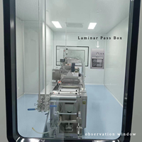Nouvelle boîte de flux laminaire avec filtre HEPA, classe de propreté A, en acier inoxydable 304 pour applications en salle blanche hospitalière
