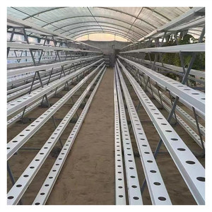 Sistema de cultivo de invernadero en forma de A vertical Sistema hidropónico de Nft de Marco A Plantación de <span class=keywords><strong>cultivos</strong></span> de frutas de hojas con plantas bajas y cortas - Product Image 2
