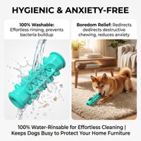 Jouet à mâcher durable pour chien, brosse à dents orale, jouet à mâcher indestructible en caoutchouc pour les mâchoires, écologique pour les mâchoires agressives, taille moyenne