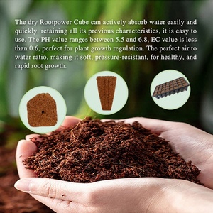 Macetas de cultivo de 32 celdas grandes de turba de coco, 500 unidades, para inicio de cultivo de vegetales, flores y plantas, para viveros y semilleros. - Product Image 5