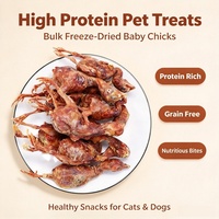 Friandises pour animaux de compagnie : Poulet lyophilisé en vrac pour poussins, riche en protéines, sans céréales, pour digestion sensible, santé de la peau et du pelage