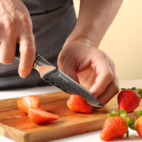 3,5 inch schilmesje VG10 kern 67-laags Damascus staal fruitmes ultra scherp zwart Pakkawood handvat klein keukenmes