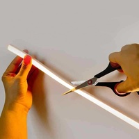 Tube néon LED, bande LED intégrée dans un gaine en silicone, lampe LED néon, tube LED flexible, bande lumineuse LED