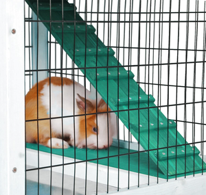 Huiskooi Buiten Cavia Kooi Op Wielen Konijnenkooi Huisdier Konijnenhok Houten Met Uittrekbaar Dienblad Kippenhok Waterdicht Dak - Product Image 6