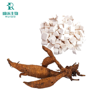 Extrait d'Arrowroot Pur Naturel de Qualité Alimentaire, Poudre Blanche Extraite par Solvant, Marque Ruiwo, Origine Shaanxi, Conditionnement en Bouteille