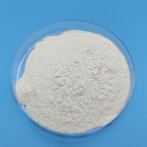 Pupuk Zhongsheng Chitosan KN 85% Murni Langsung dari Pabrik di Shandong untuk Pertanian - Product Image 5