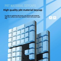 OEM Profile PBT Double Shot 135Keys Mechanical Keyboard Keycaps Enhanced Translucency Blue Gradient Translucent Characters Model