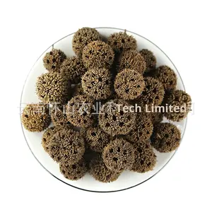 Boules d'érable séchées Liulutong pour <span class=keywords><strong>la</strong></span> période <span class=keywords><strong>de</strong></span> lactation, traitement brut avec Tongcao, Loofah du roi - Product Image 5