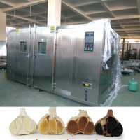 2025 village domestique demande active fabricant d'ail noir/machine d'ail noir fermenté avec CE et ISO