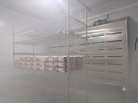 Évaporateur de refroidisseur d'air électrique à dégivrage facile, à poser au sol, pour la conservation des aliments congelés et la réfrigération des fruits