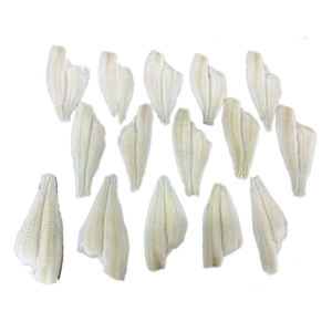 Peixe Congelado Premium do Alasca, Rico em Proteínas e Baixo em Gordura, Filé de Linguado Sem Pele 10*500g para Exportação - Product Image 2