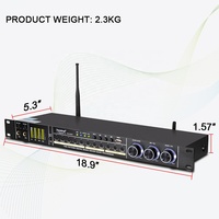 Depusheng REV3900 Procesador de efectos de audio de karaoke digital profesional Sing 2 con micrófonos duales