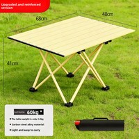 Table pliante portable et légère pour le camping en plein air, table de pique-nique, table de voyage à transporter à la main