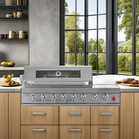Barbecue RAYLIN pour extérieur, utilisation en jardin, intégré, en acier inoxydable 304, gaz naturel et charbon de bois, avec brûleur latéral et éclairage LED