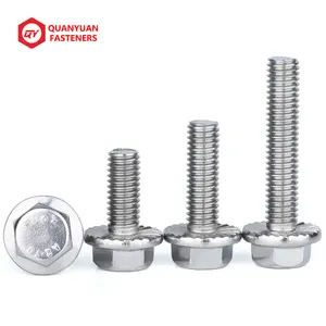 Fastener Stainless Steel M4 M6 M8 M10 M12 DIN6921 Class 4.8.8.8 10.9 12.9 Hex Flange Head Bolt