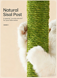 <span class=keywords><strong>Arbre</strong></span> à chat multifonctionnel en forme de cactus avec niche confortable, montage facile, tour d'activités verte pour animaux de compagnie, fournisseur en gros - Product Image 3