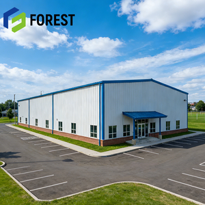 Gimnasio Prefabricado de Gran Tamaño con Panel Sándwich y Techo de Lámina de Acero Única, Estructura de Celosía de Gran Vano para el Mercado Estadounidense - Product Image 1