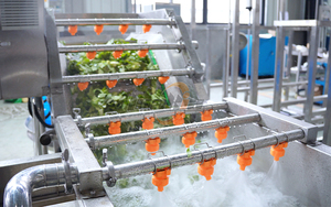 <span class=keywords><strong>Machine</strong></span> compacte de découpe et de lavage de légumes pour laitue, chou, oignon, courgette (hachage, émincissement, dés) avec fonction de nettoyage - Product Image 4