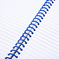 Nouveau design de bonne qualité mini-cahier stationnaire en papier kraft écologique à spirale mignon fabricant personnalisable