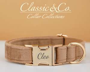 Collar y Correa Personalizados para Perro Coffee Veet con Lazo de Flores y Placa Grabada con Nombre Silencioso, Tamaños Pequeño/Mediano/Grande, Regalo para Cachorros de Boda - Product Image 3