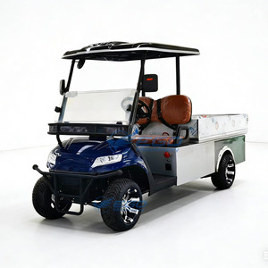 Voiturette de golf électrique de luxe, nouveau style, 2 places, pour clubs et terrains de golf, chariot à outils de golf, transport spécial. - Product Image 4